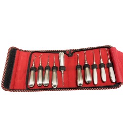 10 Pcs Root Elevators Set